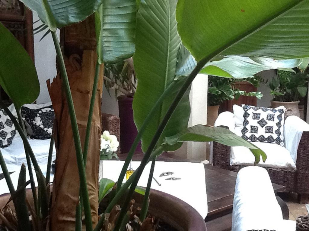 Riad Mandalay Marrakesh Ngoại thất bức ảnh